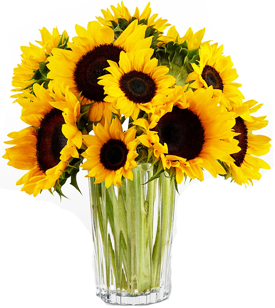 Online 8 Pcs Sunflower In Vase Deliver To Cebu || Send 8 Pcs Sunflower ...