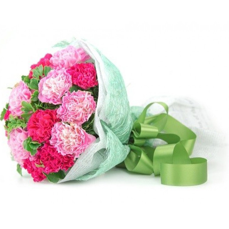 Send 20 Pcs Carnation to Cebu Delivery 20 Pcs Carnation